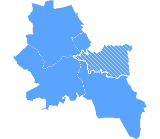 Radziejowice